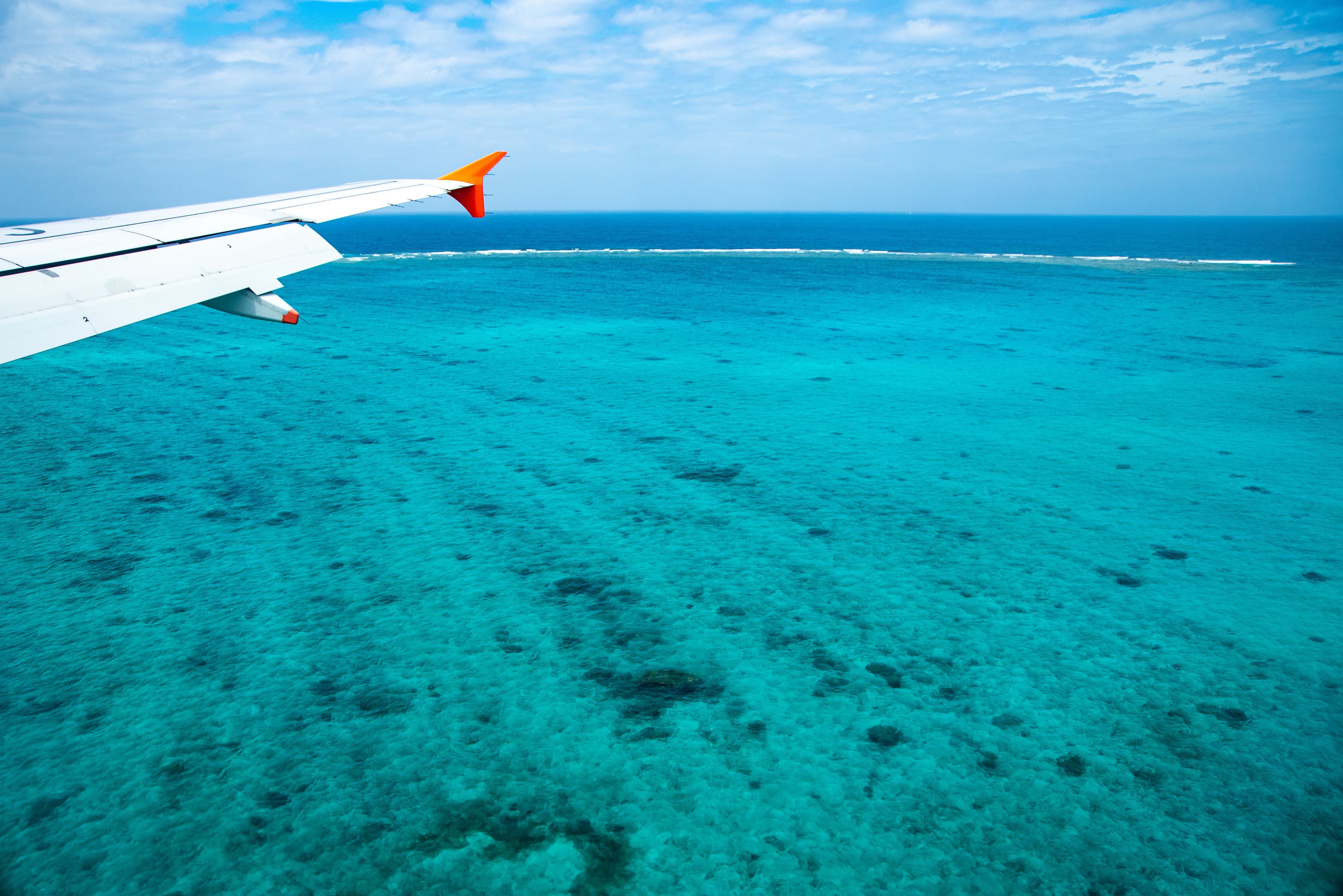 flight